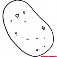 okul öncesınde sağlık haftası ,kağit işleri maske hayvanlar engelliler haftasi ,meyveler ,meslekler sayılar (2381)