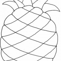 okul öncesınde sağlık haftası ,kağit işleri maske hayvanlar engelliler haftasi ,meyveler ,meslekler sayılar (2393)