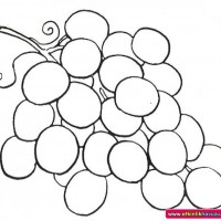 okul öncesınde sağlık haftası ,kağit işleri maske hayvanlar engelliler haftasi ,meyveler ,meslekler sayılar (2429)