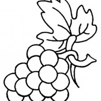 okul öncesınde sağlık haftası ,kağit işleri maske hayvanlar engelliler haftasi ,meyveler ,meslekler sayılar (2431)