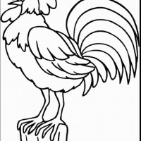 okul öncesınde sağlık haftası ,kağit işleri maske hayvanlar engelliler haftasi ,meyveler ,meslekler sayılar (2445)