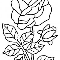 okul öncesınde sağlık haftası ,kağit işleri maske hayvanlar engelliler haftasi ,meyveler ,meslekler sayılar (2448)