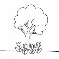 okul öncesınde sağlık haftası ,kağit işleri maske hayvanlar engelliler haftasi ,meyveler ,meslekler sayılar (2451)