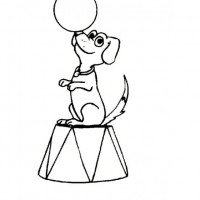 okul öncesınde sağlık haftası ,kağit işleri maske hayvanlar engelliler haftasi ,meyveler ,meslekler sayılar (2463)