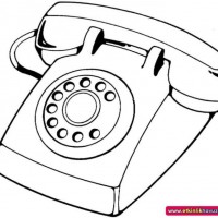 okul öncesınde sağlık haftası ,kağit işleri maske hayvanlar engelliler haftasi ,meyveler ,meslekler sayılar (2505)