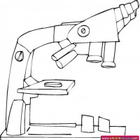 okul öncesınde sağlık haftası ,kağit işleri maske hayvanlar engelliler haftasi ,meyveler ,meslekler sayılar (2514)