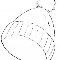 okul öncesınde sağlık haftası ,kağit işleri maske hayvanlar engelliler haftasi ,meyveler ,meslekler sayılar (2515)