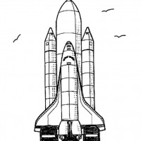 okul öncesınde sağlık haftası ,kağit işleri maske hayvanlar engelliler haftasi ,meyveler ,meslekler sayılar (2532)