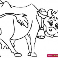 okul öncesınde sağlık haftası ,kağit işleri maske hayvanlar engelliler haftasi ,meyveler ,meslekler sayılar (2534)