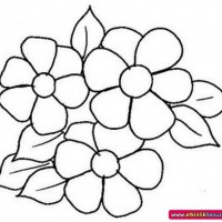 okul öncesınde sağlık haftası ,kağit işleri maske hayvanlar engelliler haftasi ,meyveler ,meslekler sayılar (2544)