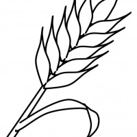 okul öncesınde sağlık haftası ,kağit işleri maske hayvanlar engelliler haftasi ,meyveler ,meslekler sayılar (2547)