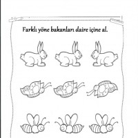 okul öncesınde sağlık haftası ,kağit işleri maske hayvanlar engelliler haftasi ,meyveler ,meslekler sayılar (2552)