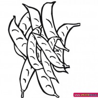 okul öncesınde sağlık haftası ,kağit işleri maske hayvanlar engelliler haftasi ,meyveler ,meslekler sayılar (2564)