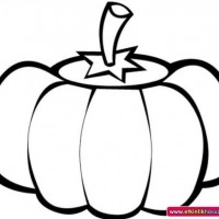 okul öncesınde sağlık haftası ,kağit işleri maske hayvanlar engelliler haftasi ,meyveler ,meslekler sayılar (2570)