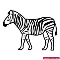 okul öncesınde sağlık haftası ,kağit işleri maske hayvanlar engelliler haftasi ,meyveler ,meslekler sayılar (2573)