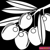 okul öncesınde sağlık haftası ,kağit işleri maske hayvanlar engelliler haftasi ,meyveler ,meslekler sayılar (2575)