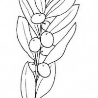 okul öncesınde sağlık haftası ,kağit işleri maske hayvanlar engelliler haftasi ,meyveler ,meslekler sayılar (2577)