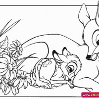 okul öncesınde sağlık haftası ,kağit işleri maske hayvanlar engelliler haftasi ,meyveler ,meslekler sayılar (2581)