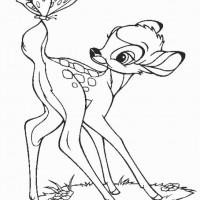 okul öncesınde sağlık haftası ,kağit işleri maske hayvanlar engelliler haftasi ,meyveler ,meslekler sayılar (2582)