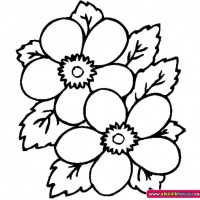 okul öncesınde sağlık haftası ,kağit işleri maske hayvanlar engelliler haftasi ,meyveler ,meslekler sayılar (2587)