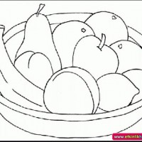 okul öncesınde sağlık haftası ,kağit işleri maske hayvanlar engelliler haftasi ,meyveler ,meslekler sayılar (2605)