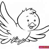 okul öncesınde sağlık haftası ,kağit işleri maske hayvanlar engelliler haftasi ,meyveler ,meslekler sayılar (2610)