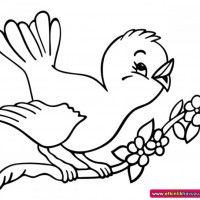 okul öncesınde sağlık haftası ,kağit işleri maske hayvanlar engelliler haftasi ,meyveler ,meslekler sayılar (2614)