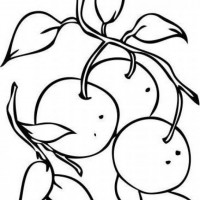 okul öncesınde sağlık haftası ,kağit işleri maske hayvanlar engelliler haftasi ,meyveler ,meslekler sayılar (2622)