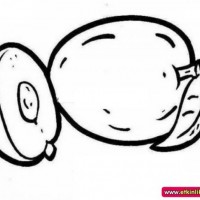 okul öncesınde sağlık haftası ,kağit işleri maske hayvanlar engelliler haftasi ,meyveler ,meslekler sayılar (2626)