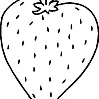 okul öncesınde sağlık haftası ,kağit işleri maske hayvanlar engelliler haftasi ,meyveler ,meslekler sayılar (2627)