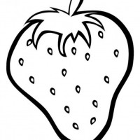 okul öncesınde sağlık haftası ,kağit işleri maske hayvanlar engelliler haftasi ,meyveler ,meslekler sayılar (2632)