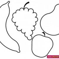 okul öncesınde sağlık haftası ,kağit işleri maske hayvanlar engelliler haftasi ,meyveler ,meslekler sayılar (2633)