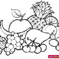 okul öncesınde sağlık haftası ,kağit işleri maske hayvanlar engelliler haftasi ,meyveler ,meslekler sayılar (2635)