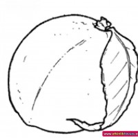 okul öncesınde sağlık haftası ,kağit işleri maske hayvanlar engelliler haftasi ,meyveler ,meslekler sayılar (2637)