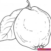 okul öncesınde sağlık haftası ,kağit işleri maske hayvanlar engelliler haftasi ,meyveler ,meslekler sayılar (2638)