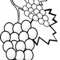 okul öncesınde sağlık haftası ,kağit işleri maske hayvanlar engelliler haftasi ,meyveler ,meslekler sayılar (2641)