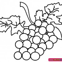 okul öncesınde sağlık haftası ,kağit işleri maske hayvanlar engelliler haftasi ,meyveler ,meslekler sayılar (2642)