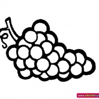 okul öncesınde sağlık haftası ,kağit işleri maske hayvanlar engelliler haftasi ,meyveler ,meslekler sayılar (2643)