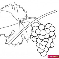 okul öncesınde sağlık haftası ,kağit işleri maske hayvanlar engelliler haftasi ,meyveler ,meslekler sayılar (2644)