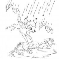 okul öncesınde sağlık haftası ,kağit işleri maske hayvanlar engelliler haftasi ,meyveler ,meslekler sayılar (2651)