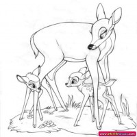 okul öncesınde sağlık haftası ,kağit işleri maske hayvanlar engelliler haftasi ,meyveler ,meslekler sayılar (2676)