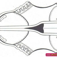 okul öncesınde sağlık haftası ,kağit işleri maske hayvanlar engelliler haftasi ,meyveler ,meslekler sayılar (2689)