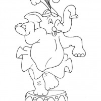 okul öncesınde sağlık haftası ,kağit işleri maske hayvanlar engelliler haftasi ,meyveler ,meslekler sayılar (2700)