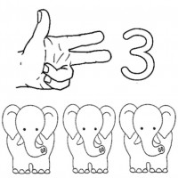 okul öncesınde sağlık haftası ,kağit işleri maske hayvanlar engelliler haftasi ,meyveler ,meslekler sayılar (2703)