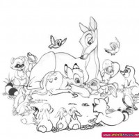 okul öncesınde sağlık haftası ,kağit işleri maske hayvanlar engelliler haftasi ,meyveler ,meslekler sayılar (2704)