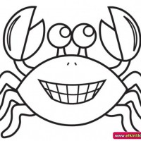 okul öncesınde sağlık haftası ,kağit işleri maske hayvanlar engelliler haftasi ,meyveler ,meslekler sayılar (2705)