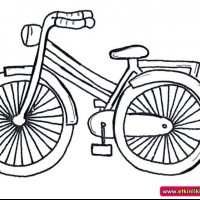 okul öncesınde sağlık haftası ,kağit işleri maske hayvanlar engelliler haftasi ,meyveler ,meslekler sayılar (2710)