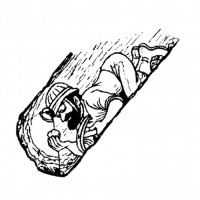 okul öncesınde sağlık haftası ,kağit işleri maske hayvanlar engelliler haftasi ,meyveler ,meslekler sayılar (2711)