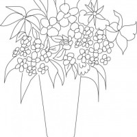 okul öncesınde sağlık haftası ,kağit işleri maske hayvanlar engelliler haftasi ,meyveler ,meslekler sayılar (2730)