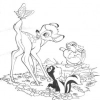 okul öncesınde sağlık haftası ,kağit işleri maske hayvanlar engelliler haftasi ,meyveler ,meslekler sayılar (2736)